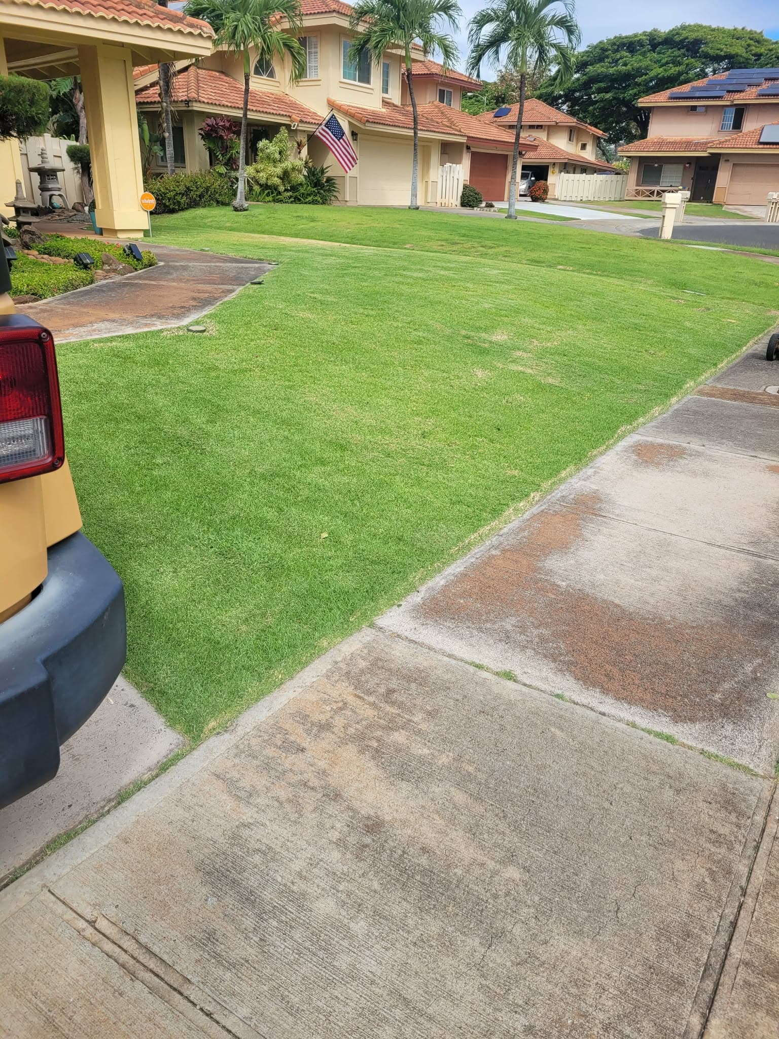 Front lawn neatly mowed beside driveway