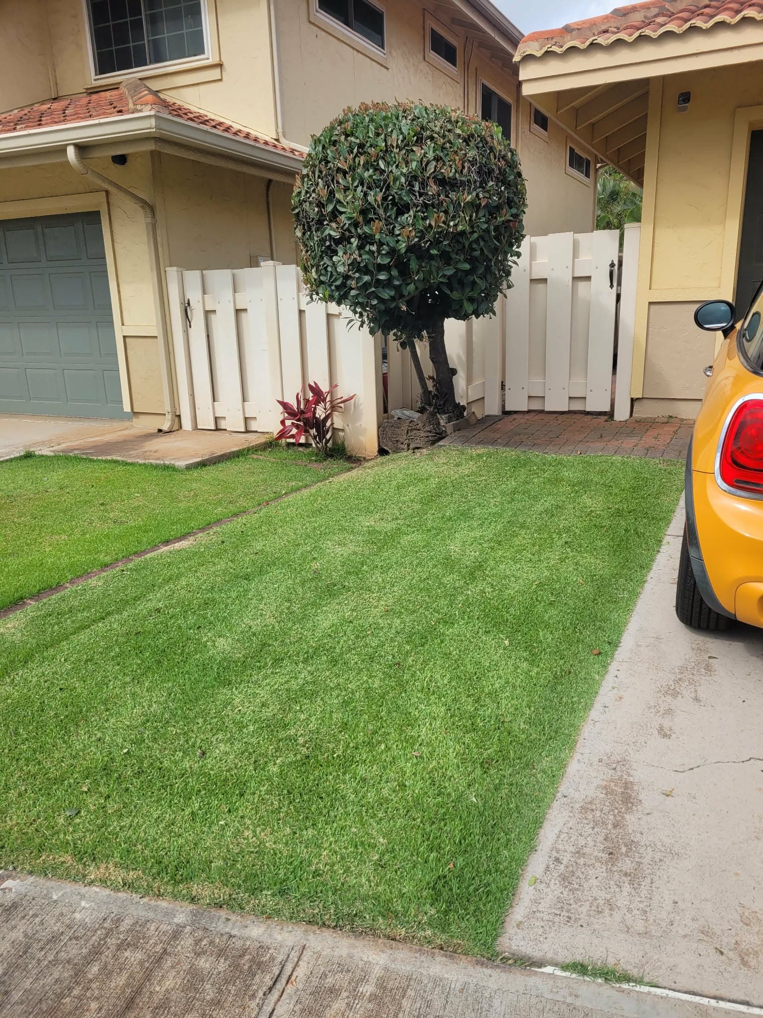 Bright green front lawn with a sharp edge along the driveway