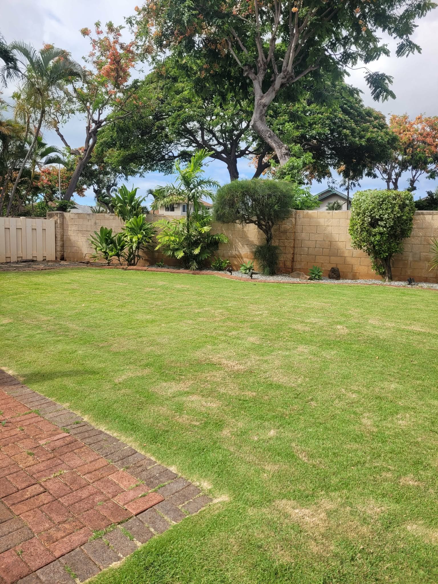 Large backyard lawn trimmed along a block wall